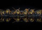 Wasp Brigade - Haider Chishty.jpg